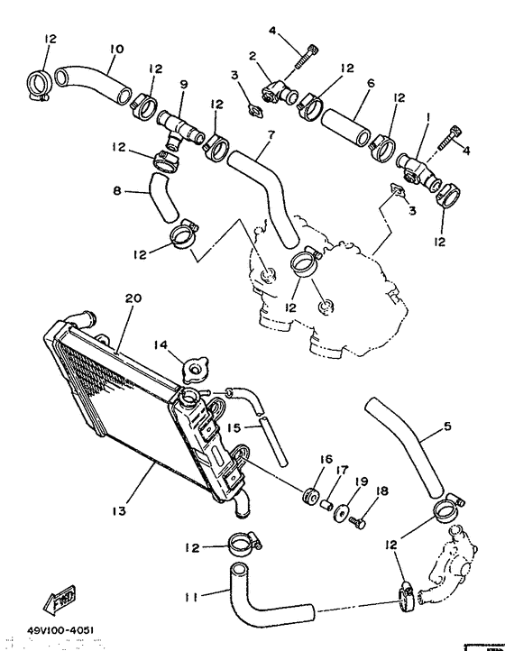 Radiator. hose