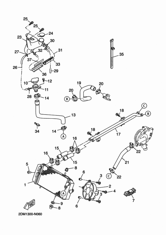 Radiator & hose