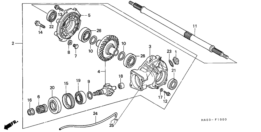 Final driven gear/ rear axle shaft
