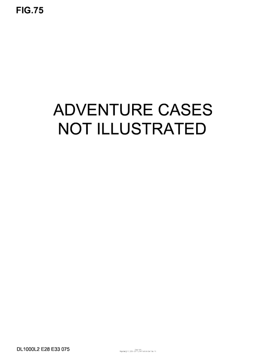 DL1000 Adventure Cases