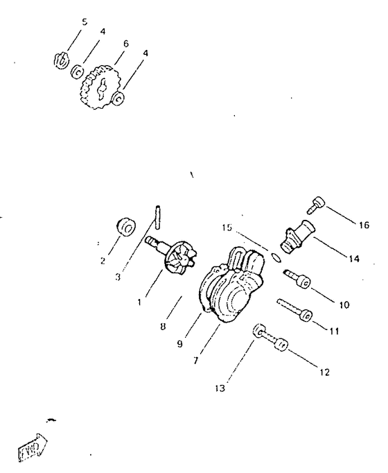 TZR50 Waterpump