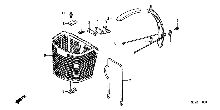 Front fender/front basket