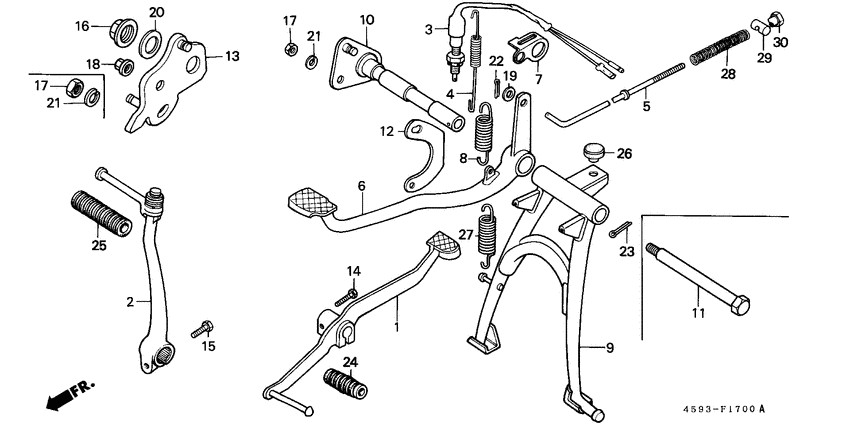 Stand/pedal