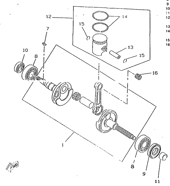 CW50RS Ciguenal. pisttn