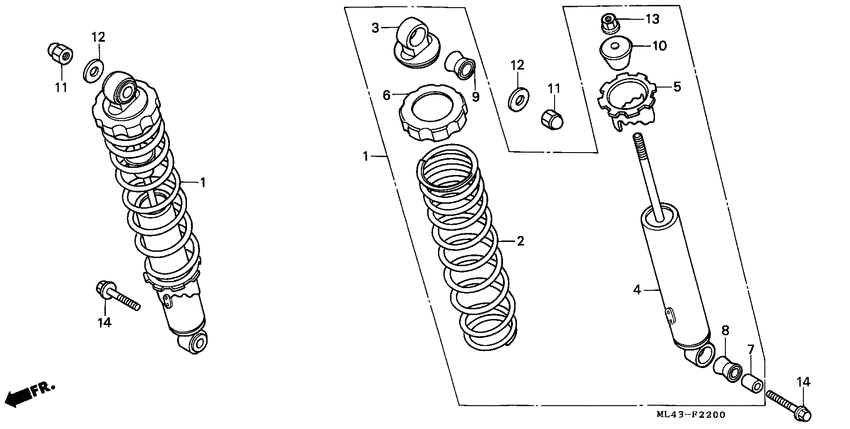 Rear cushion