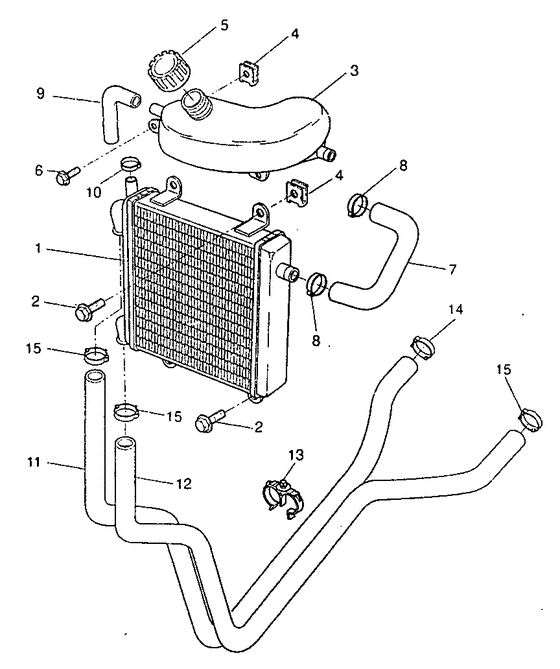 Radiator. hose