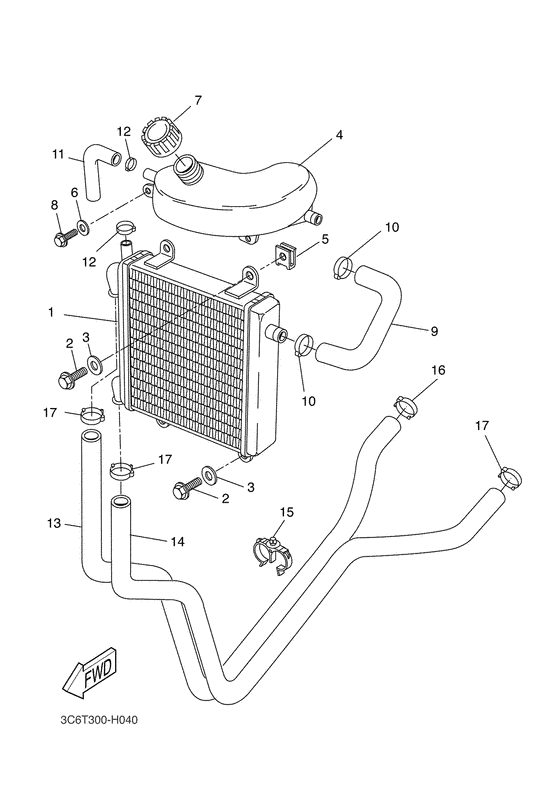 Radiator & hose