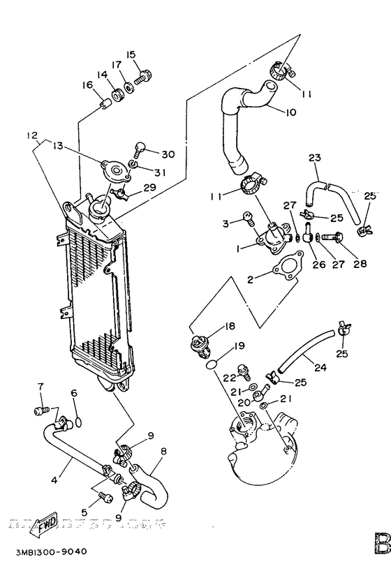 Radiator. hose