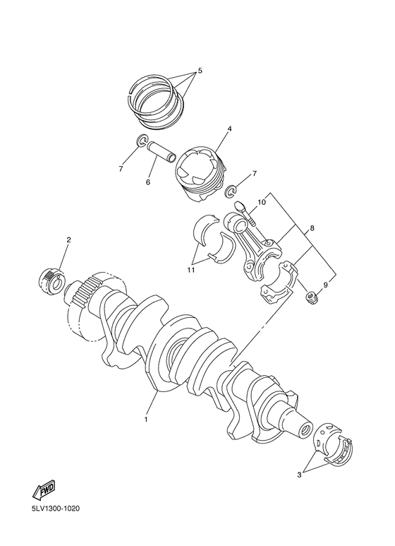 Ciguenal & piston