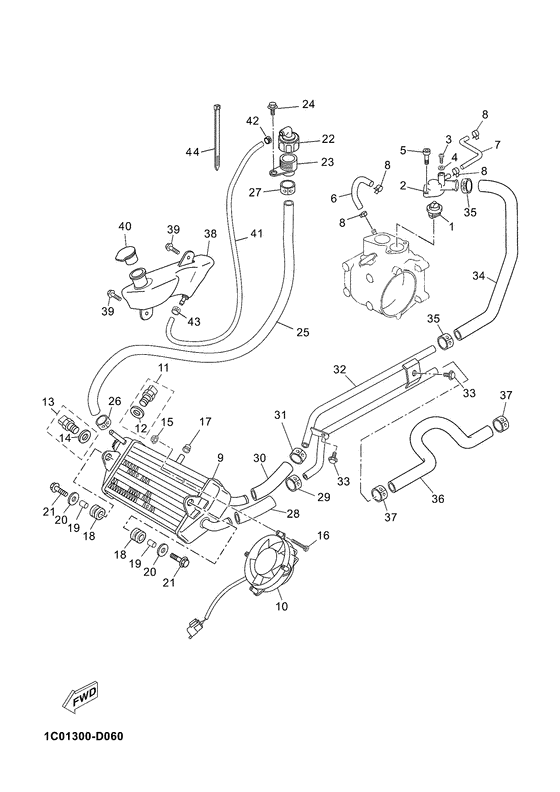 Radiator & hose