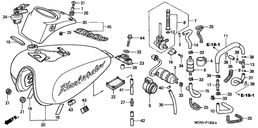 Fuel tank/fuel pump