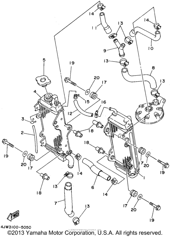 Radiator - hose