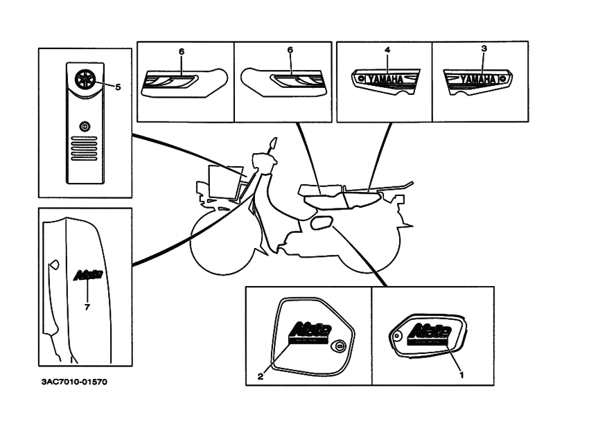 V50N ｸﾞﾗﾌｲﾂｸ. ｴﾝﾌﾞﾚﾑ 6