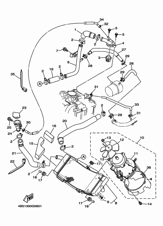 Radiator & hose