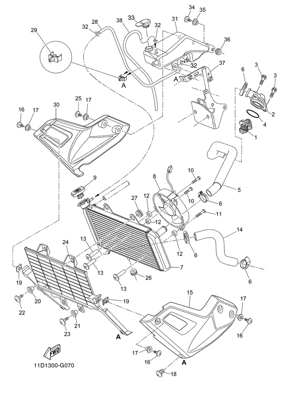 Radiator & hose