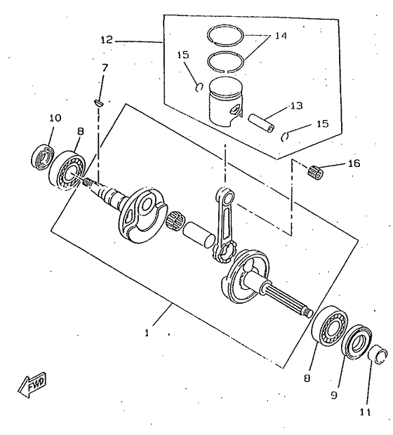 CW50RSX Ciguenal. pisttn