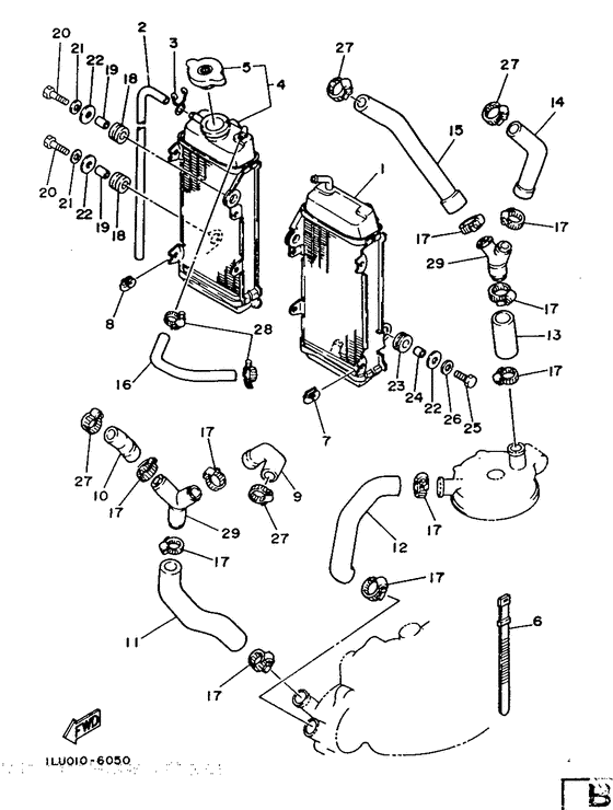 Radiator. hose