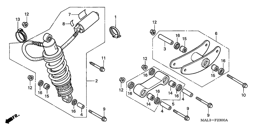 Rear cushion