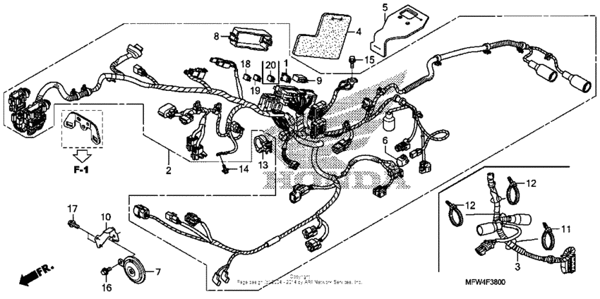 Wire harness + horn