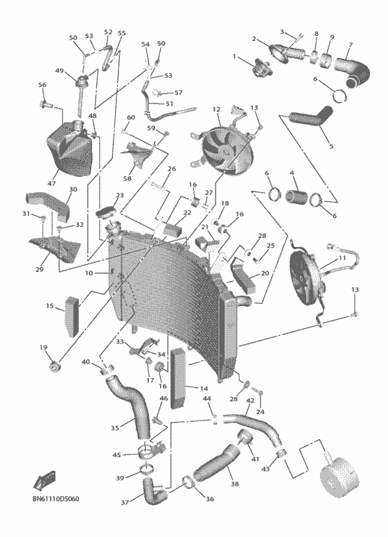Radiator & hose