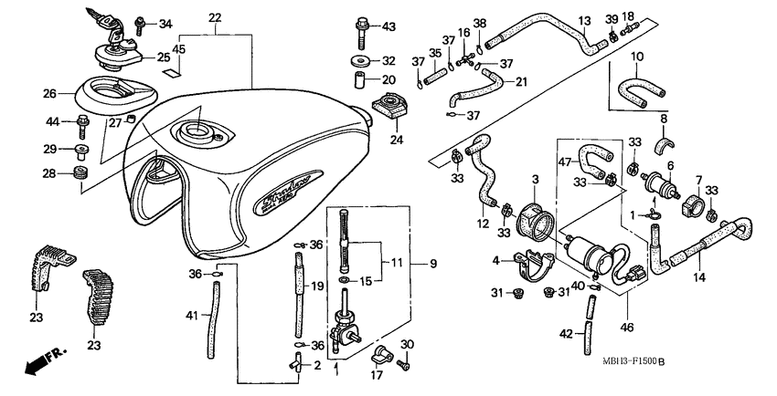 Fuel tank/fuel pump