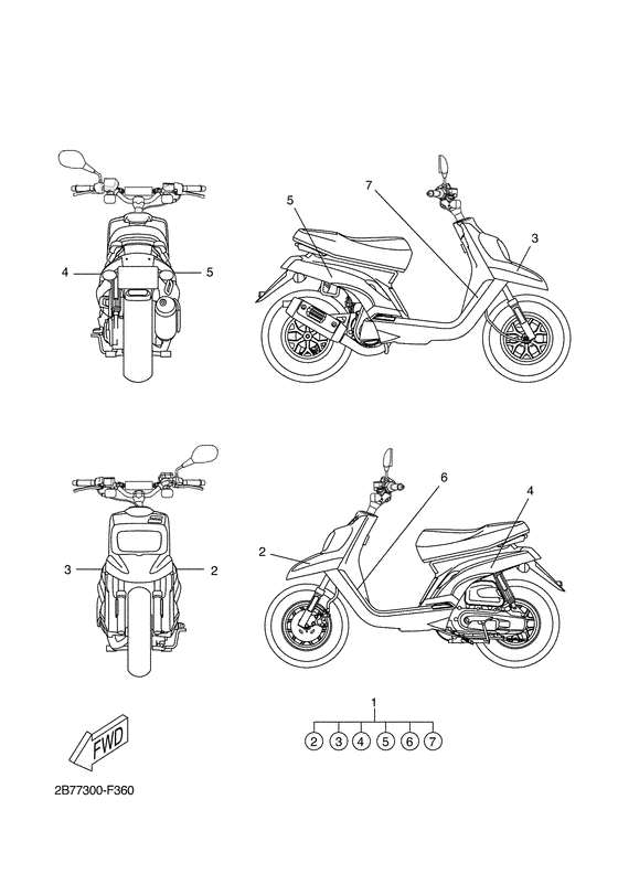 CW50N Graphic & emblem