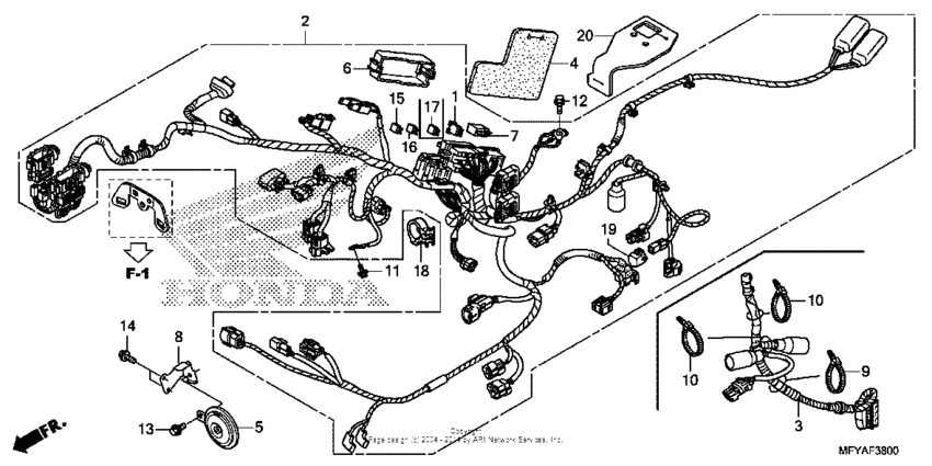 Wire harness + horn