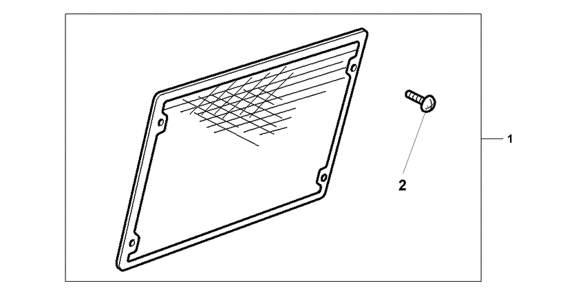Chrome radiator scre