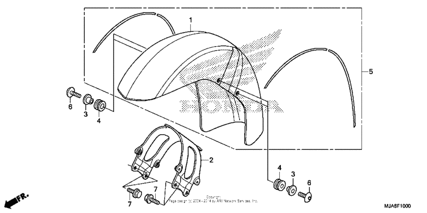 Front fender (1)