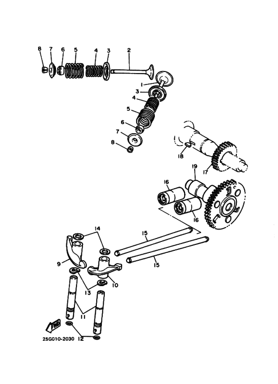 Vbelt raw edge cog