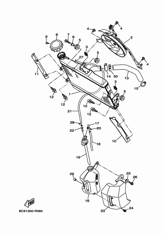 Radiator & hose