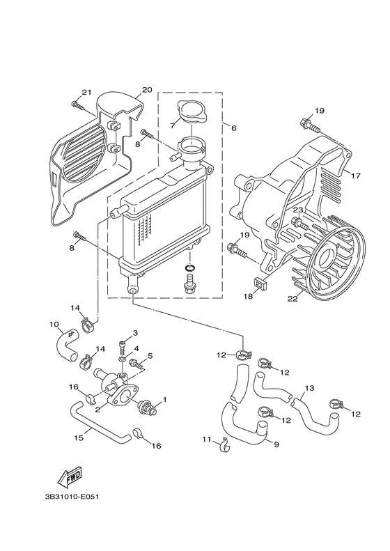 XF50 Radiator & hose
