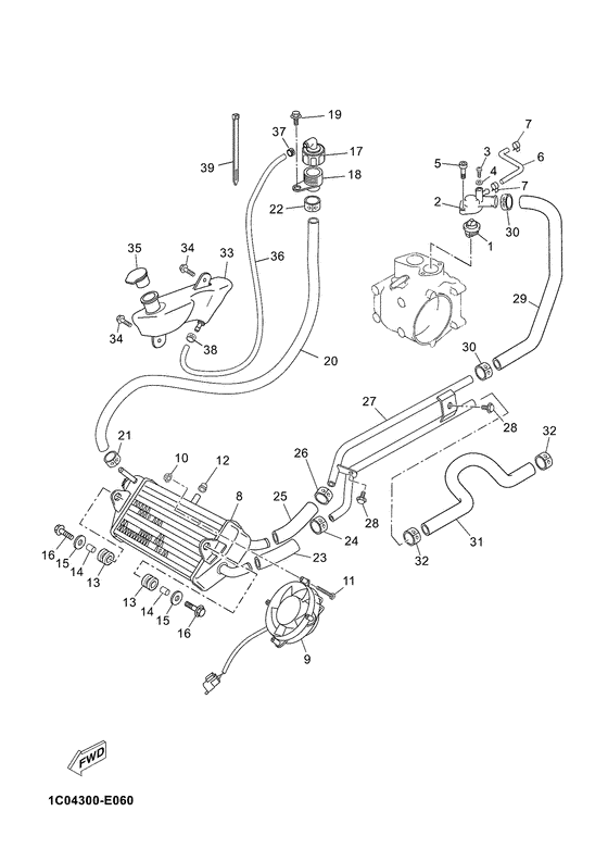 Radiator & hose
