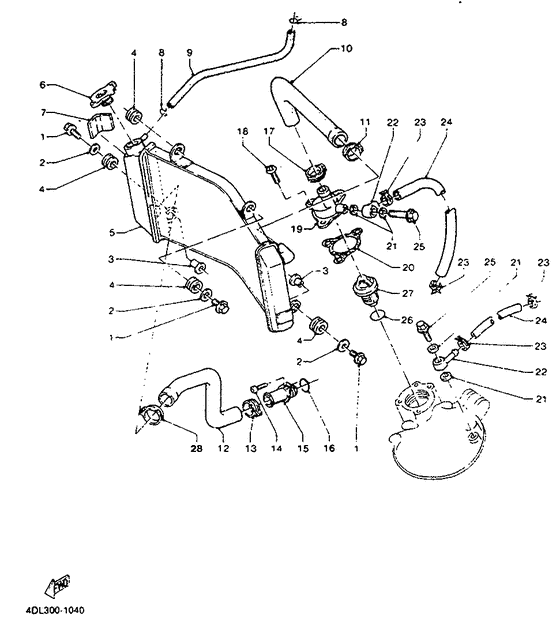 Radiator. hose