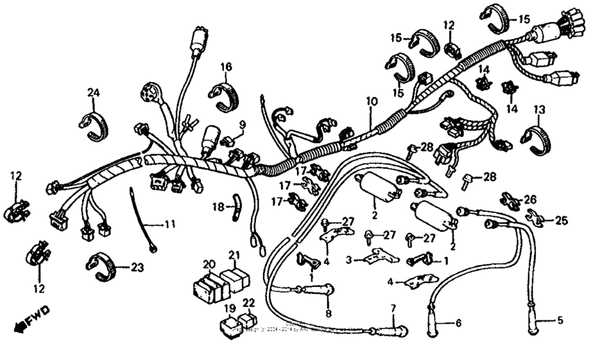 Wire harness + ignition coil