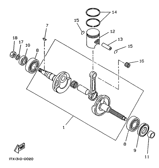 CW50 Коленчатый вал и поршни