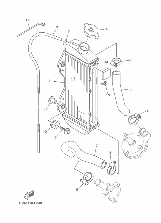 Radiator & hose