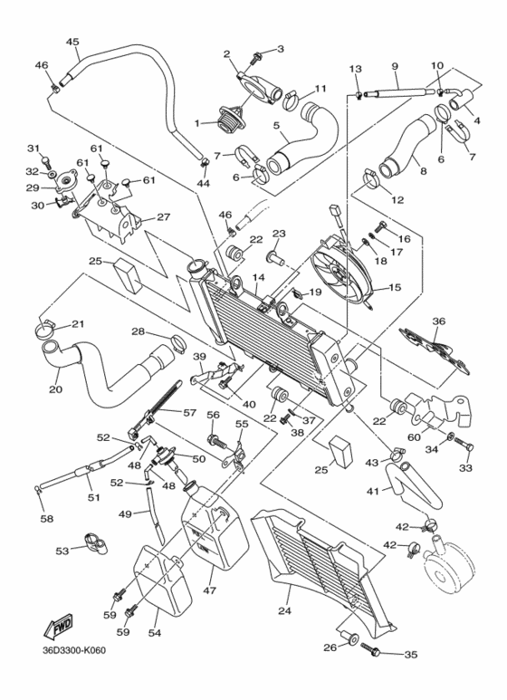 Radiator & hose