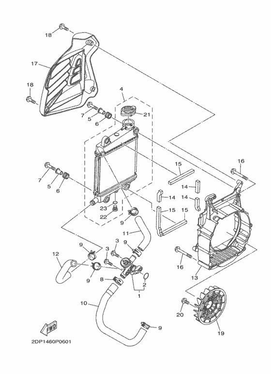 Radiator & hose