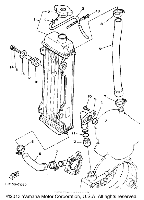 Radiator - hose