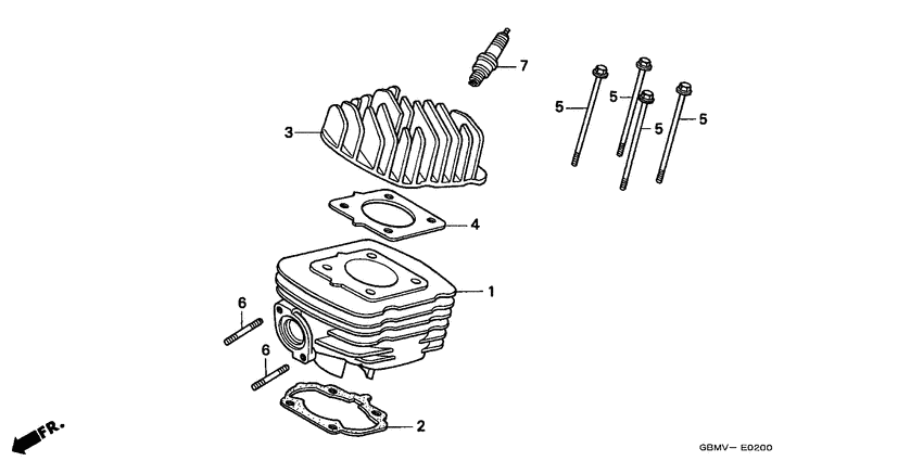 Cylinder/cylinder head
