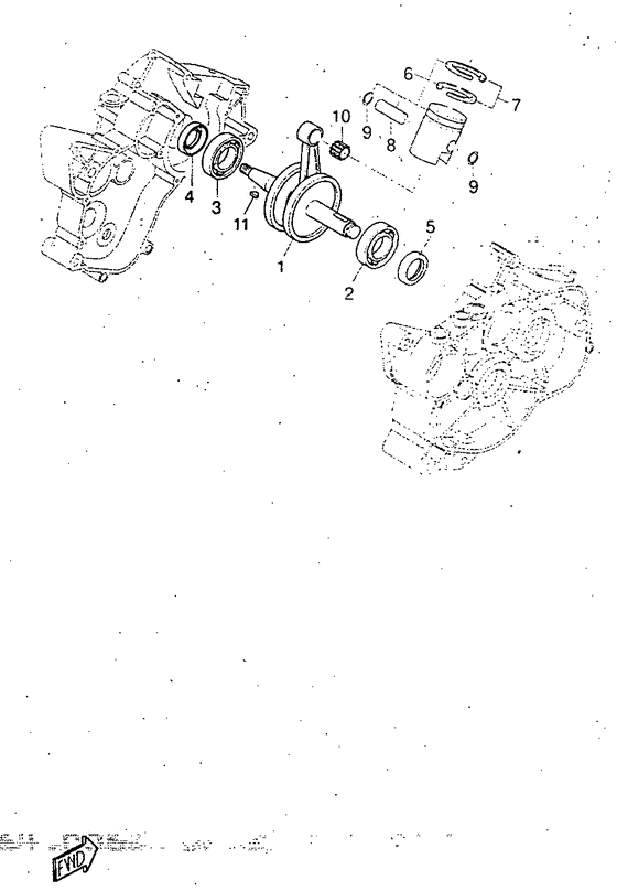 DT50R Ciguenal. pisttn