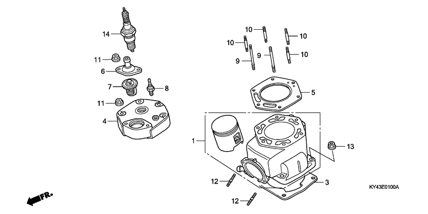 Cylinder/cylinder head