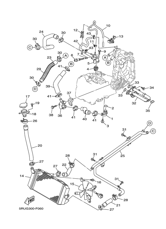 Radiator & hose