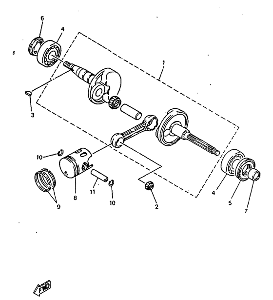 YN50 Ciguenal. pisttn