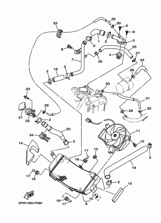 Radiator & hose