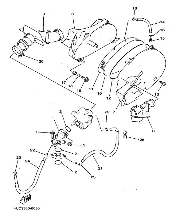 YP250D Впускная система