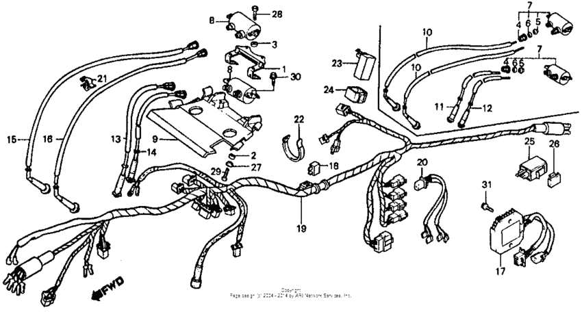 Wire harness + ignition coil