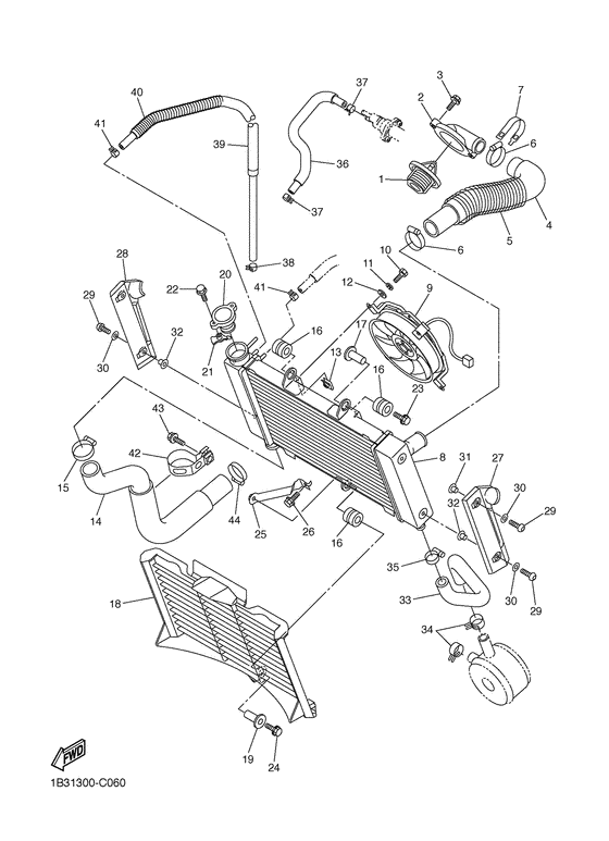 Radiator & hose