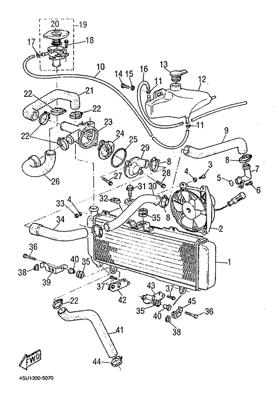 Radiator. hose